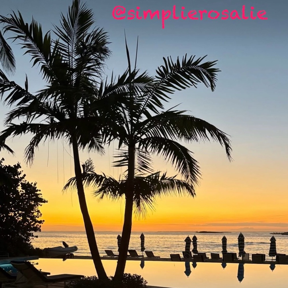SIMPLIEROSALIE NOTIFICATION BANNER